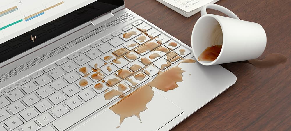 Imagen Galería 1